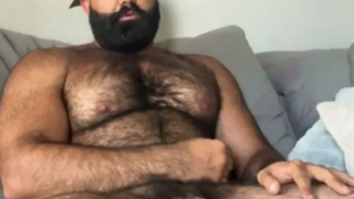 Piroca gigante do Macho urso pelado